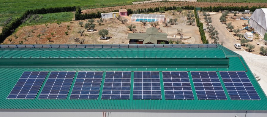 Autoconsumo FV de 141kWp para Huevos Monterde en Valencia por la empresa Avanzalia