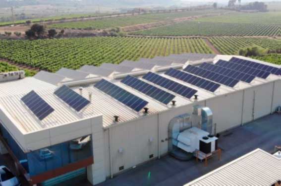 autoconsumo y digitalización en la empresa de productos alimenticios Masdeu.